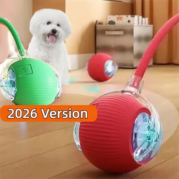 Smart Rolling Dog Ball