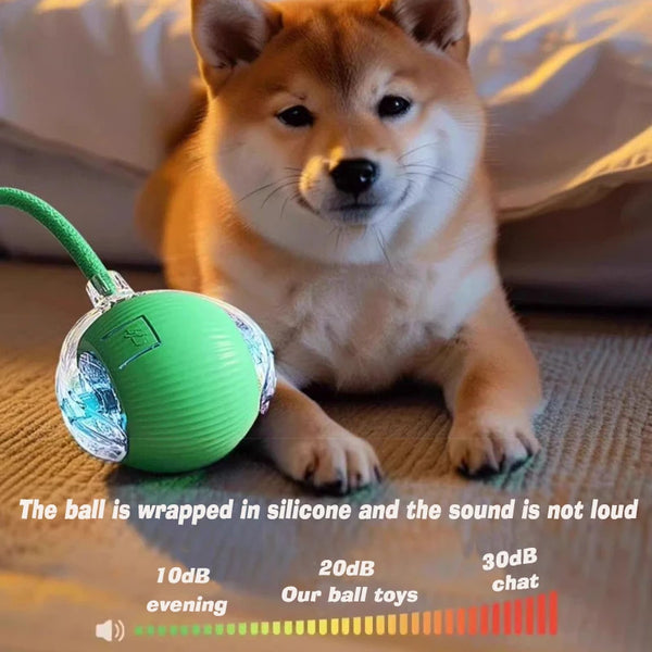 Smart Rolling Dog Ball